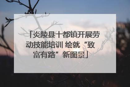 炎陵县十都镇开展劳动技能培训 绘就“致富有路”新图景