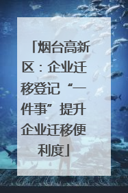 烟台高新区：企业迁移登记“一件事”提升企业迁移便利度