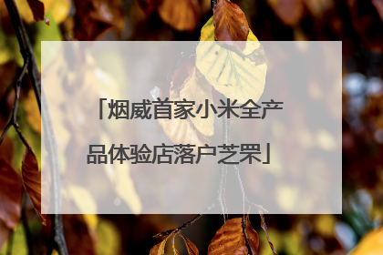 烟威首家小米全产品体验店落户芝罘