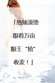 热辣滚烫 跟着万亩粮王“抢”收麦！