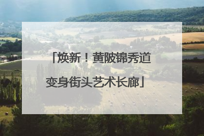 焕新！黄陂锦秀道变身街头艺术长廊