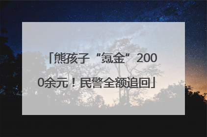 熊孩子“氪金”2000余元！民警全额追回