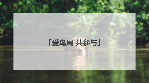 爱鸟周 共参与