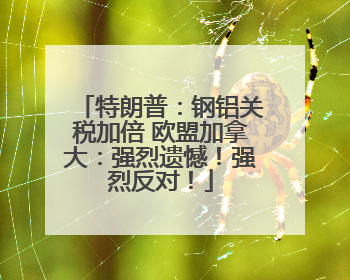 特朗普：钢铝关税加倍 欧盟加拿大：强烈遗憾！强烈反对！
