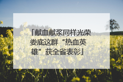献血献浆同样光荣 娄底这群“热血英雄”获全省表彰