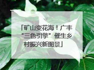 矿山变花海！广丰“三色引擎”催生乡村振兴新图景