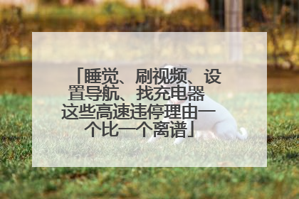 睡觉、刷视频、设置导航、找充电器 这些高速违停理由一个比一个离谱