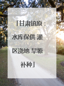 甘肃镇原：水库保供 灌区浇地 旱塬补种