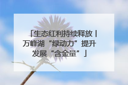 生态红利持续释放丨万峰湖“绿动力”提升发展“含金量”