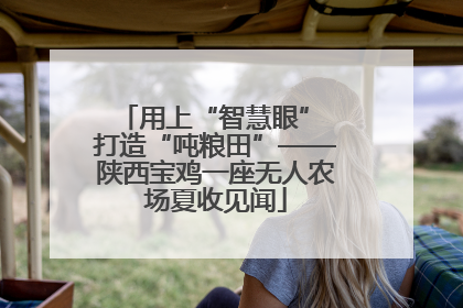 用上“智慧眼” 打造“吨粮田”——陕西宝鸡一座无人农场夏收见闻