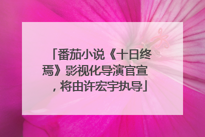 番茄小说《十日终焉》影视化导演官宣，将由许宏宇执导