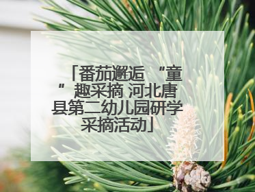 番茄邂逅 “童”趣采摘 河北唐县第二幼儿园研学采摘活动