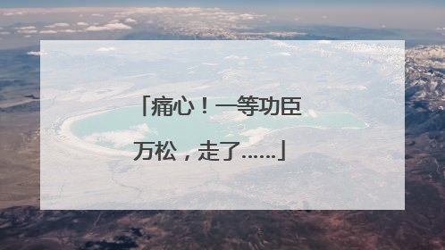 痛心！一等功臣万松，走了……