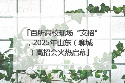 百所高校现场“支招”，2025年山东（聊城）高招会火热启幕