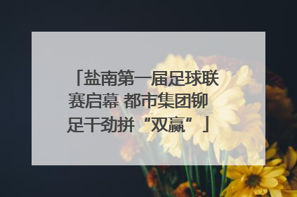 盐南第一届足球联赛启幕 都市集团铆足干劲拼“双赢”