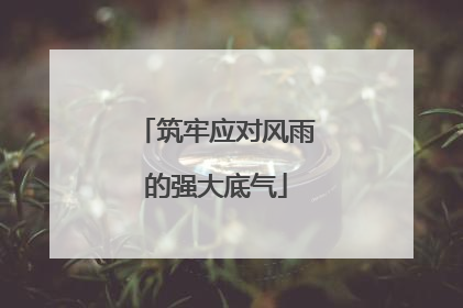 筑牢应对风雨的强大底气
