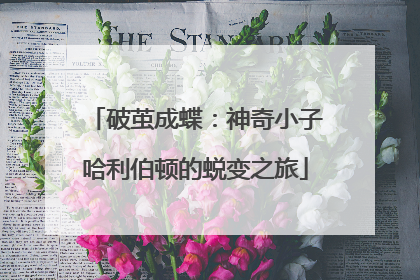 破茧成蝶：神奇小子哈利伯顿的蜕变之旅