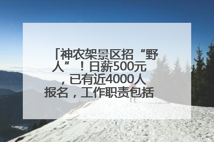 神农架景区招“野人”！日薪500元，已有近4000人报名，工作职责包括“接受游客投喂”