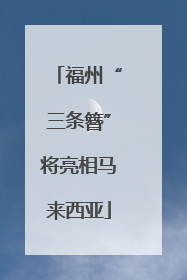 福州“三条簪”将亮相马来西亚