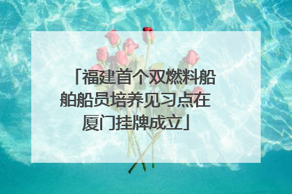 福建首个双燃料船舶船员培养见习点在厦门挂牌成立