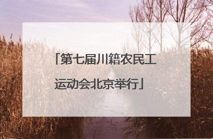 第七届川籍农民工运动会北京举行