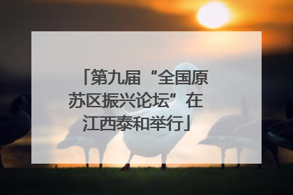 第九届“全国原苏区振兴论坛”在江西泰和举行