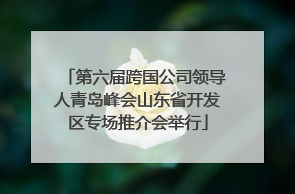 第六届跨国公司领导人青岛峰会山东省开发区专场推介会举行