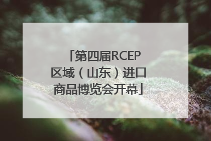 第四届RCEP区域（山东）进口商品博览会开幕