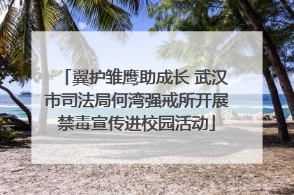 翼护雏鹰助成长 武汉市司法局何湾强戒所开展禁毒宣传进校园活动