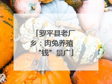 罗平县老厂乡：肉兔养殖“钱”景广