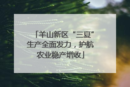 羊山新区“三夏”生产全面发力，护航农业稳产增收