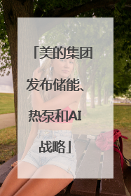 美的集团发布储能、热泵和AI战略