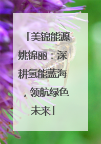 美锦能源姚锦丽：深耕氢能蓝海，领航绿色未来