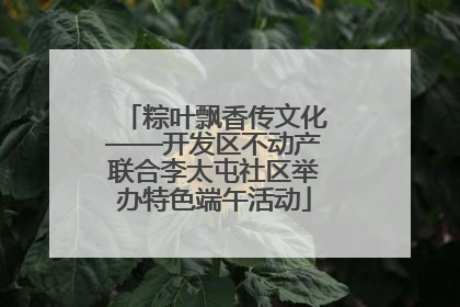 粽叶飘香传文化——开发区不动产联合李太屯社区举办特色端午活动