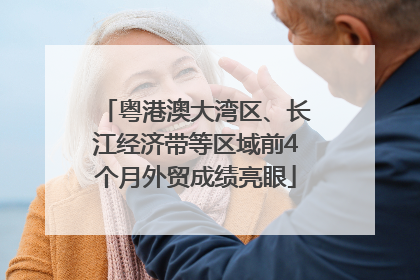 粤港澳大湾区、长江经济带等区域前4个月外贸成绩亮眼