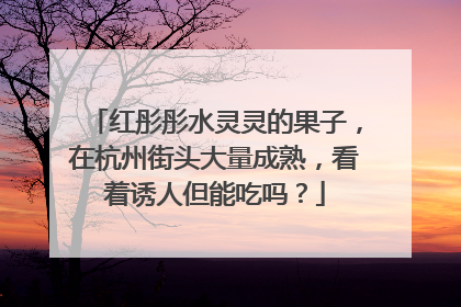 红彤彤水灵灵的果子，在杭州街头大量成熟，看着诱人但能吃吗？
