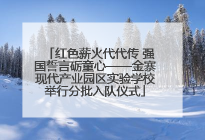 红色薪火代代传 强国誓言砺童心——金寨现代产业园区实验学校举行分批入队仪式