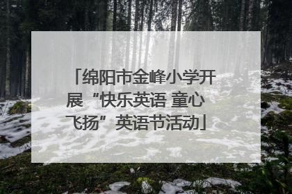 绵阳市金峰小学开展“快乐英语 童心飞扬”英语节活动