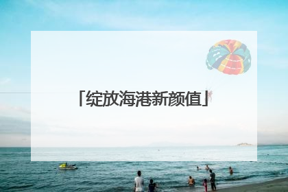 绽放海港新颜值