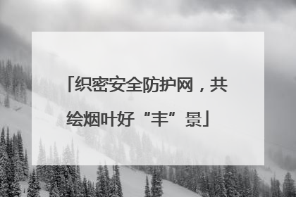 织密安全防护网，共绘烟叶好“丰”景