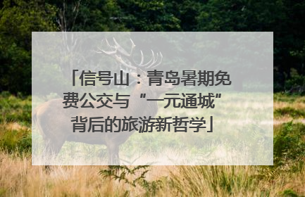 信号山：青岛暑期免费公交与“一元通城”背后的旅游新哲学
