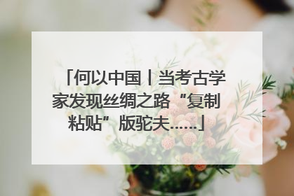 何以中国丨当考古学家发现丝绸之路“复制粘贴”版驼夫……