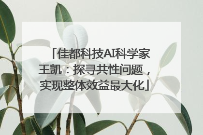 佳都科技AI科学家王凯：探寻共性问题，实现整体效益最大化