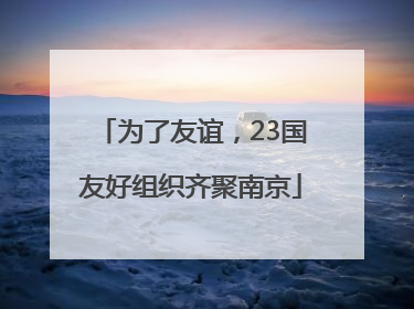 为了友谊，23国友好组织齐聚南京