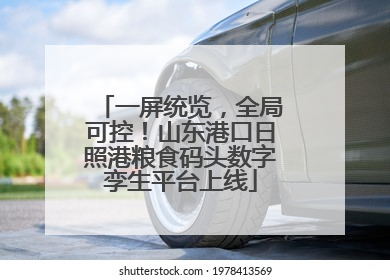一屏统览，全局可控！山东港口日照港粮食码头数字孪生平台上线