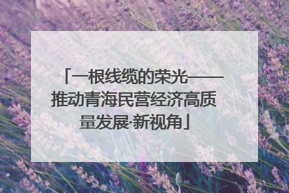一根线缆的荣光——推动青海民营经济高质量发展·新视角