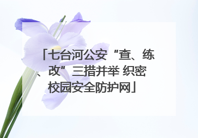七台河公安“查、练、改”三措并举 织密校园安全防护网