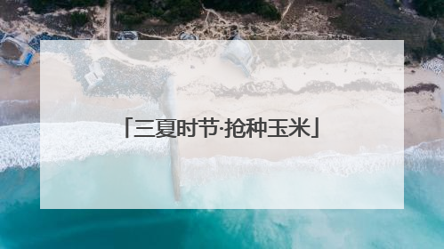 三夏时节·抢种玉米