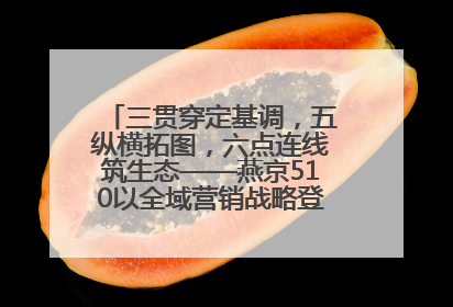 三贯穿定基调，五纵横拓图，六点连线筑生态——燕京510以全域营销战略登顶行业IP新高度