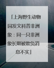 上海野生动物园发文科普非洲象：同一只非洲象长期被欺负消息不实